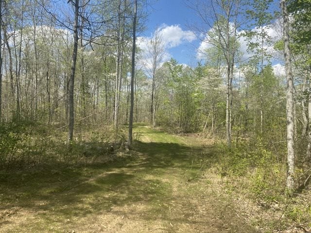 6000 Greenbriar Road Breeding, KY 42715 - Photo 17 of 29 Gallery Image 17
