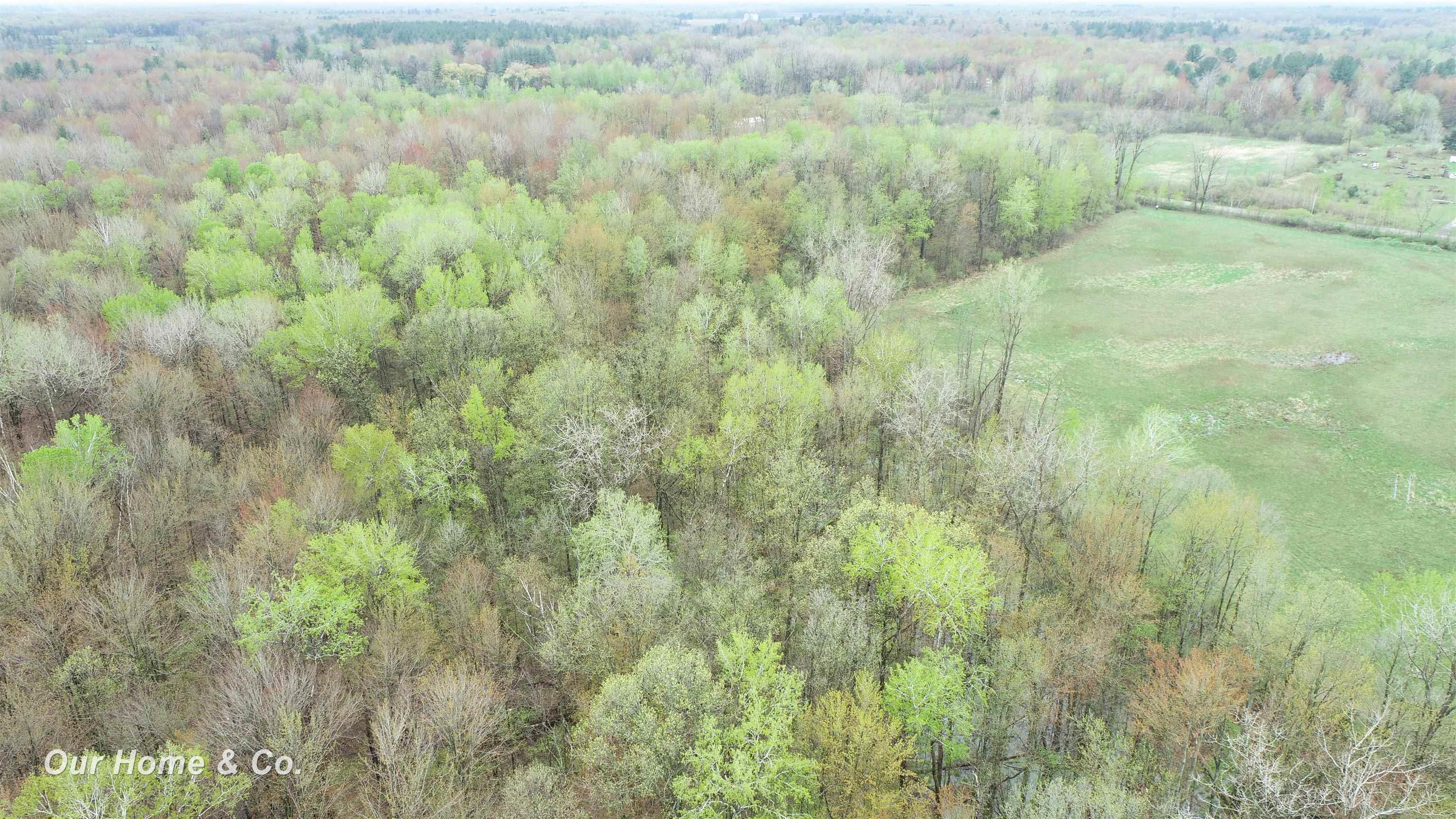 0 North Carter Road Pinconning, MI 48650 - Photo 1 of 29