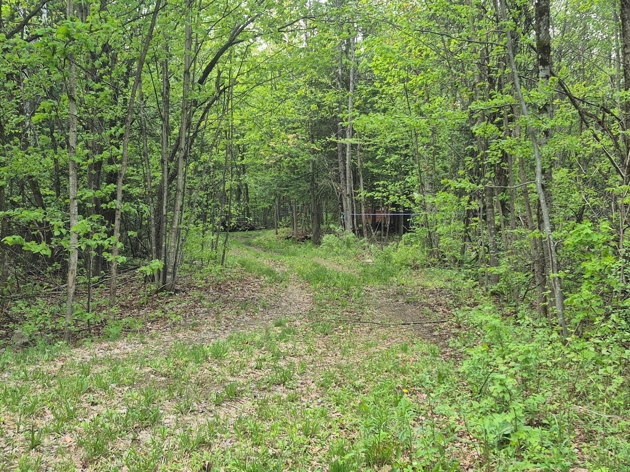 813 Bush Road Mooers Forks, NY 12959 - Photo 17 of 18 1000007461