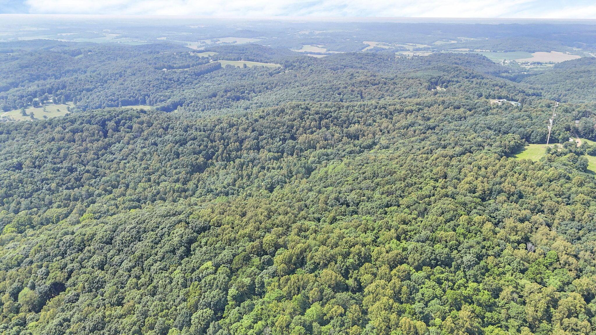 0 Thad Hall Road Laurelville, OH 43135 - Photo 21 of 28 11-web-or-mls-DJI_20240621161402_0070_D