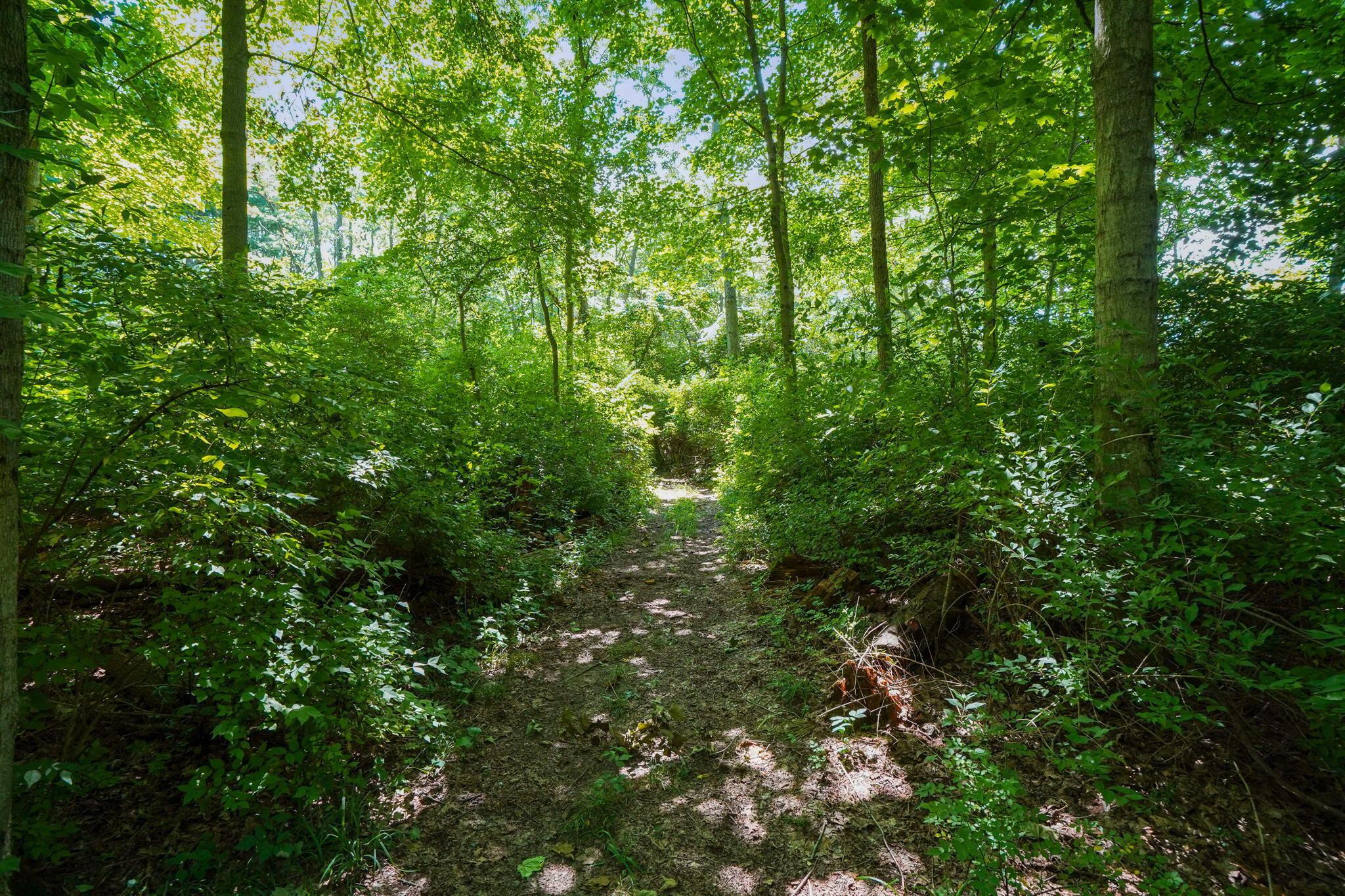 4595 St James Road Waldo, OH 43356 - Photo 28 of 83 52-web-or-mls-DSC08108