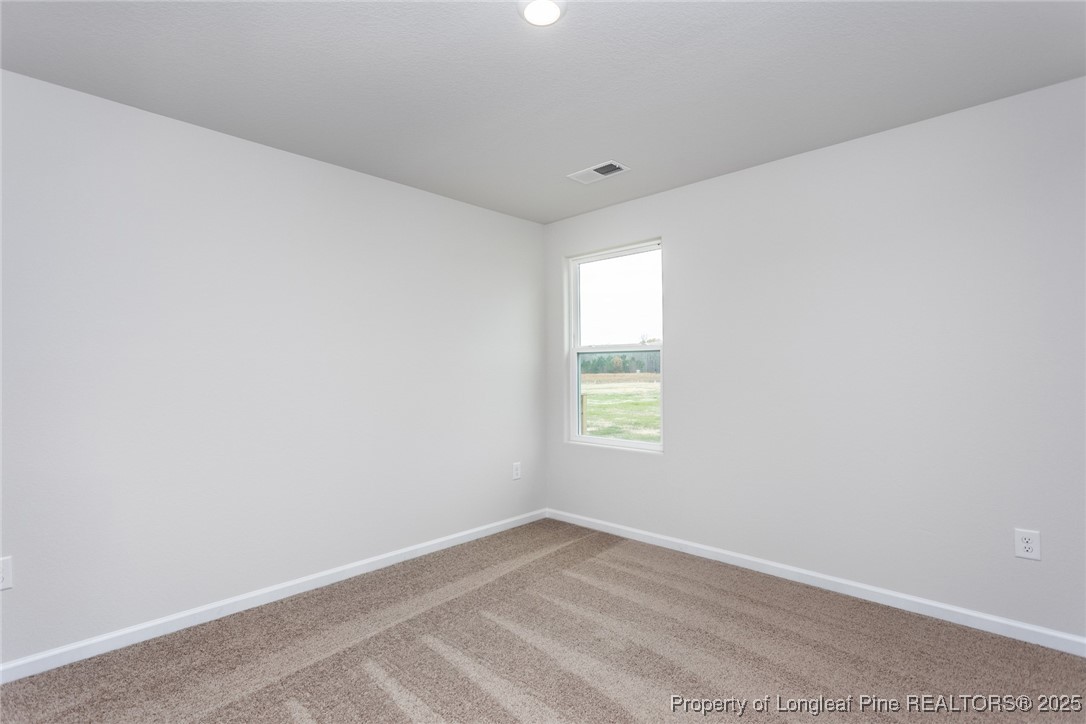 41 Camp Rock Road Lillington, NC 27546 - Photo 10 of 11 Gallery Image 10