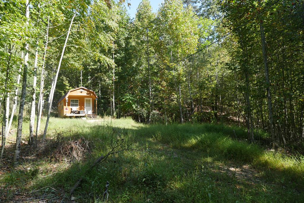 Tbd Hall Hollow Road, Unit 1 Austinville, VA 24312 - Photo 1 of 76 Gallery Image 1
