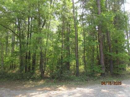 0 Old Arrowhead Road Huger, SC 29450 - Photo 1 of 2 Arrowhead Trail