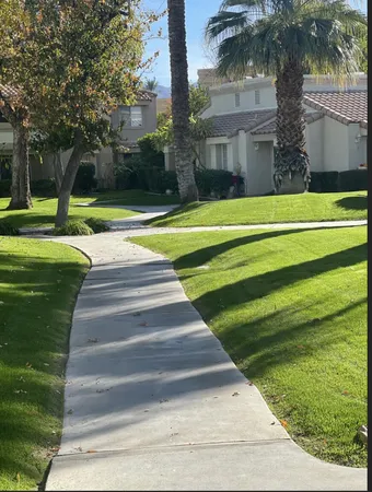 a front view of a house with yard and green space