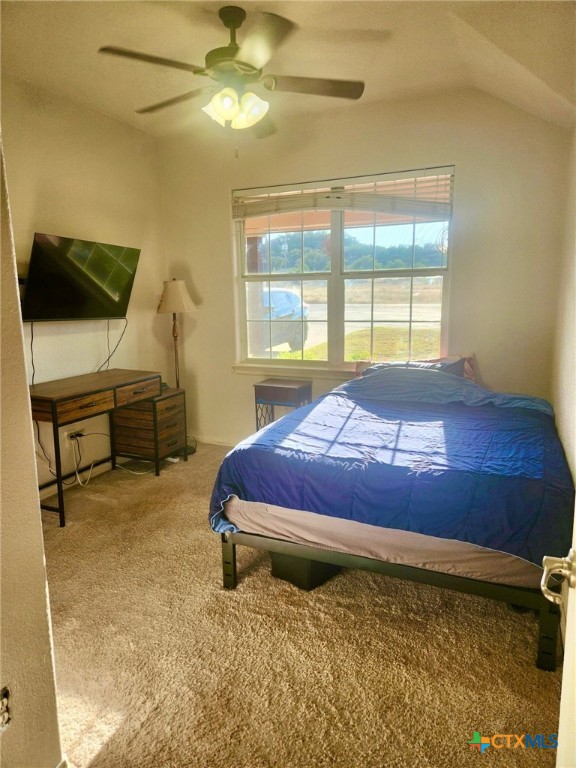 91 Skyview Terrace Leander, TX 78641 - Photo 8 of 25 a bedroom with a bed and furniture