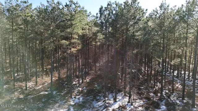 $4,500,000 | Long Lonesome Road, Bastrop, LA 71220