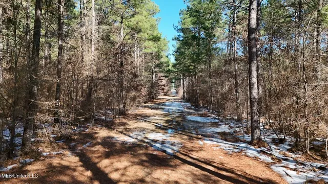 $4,500,000 | Long Lonesome Road, Bastrop, LA 71220