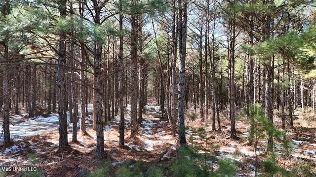 $4,500,000 | Long Lonesome Road, Bastrop, LA 71220