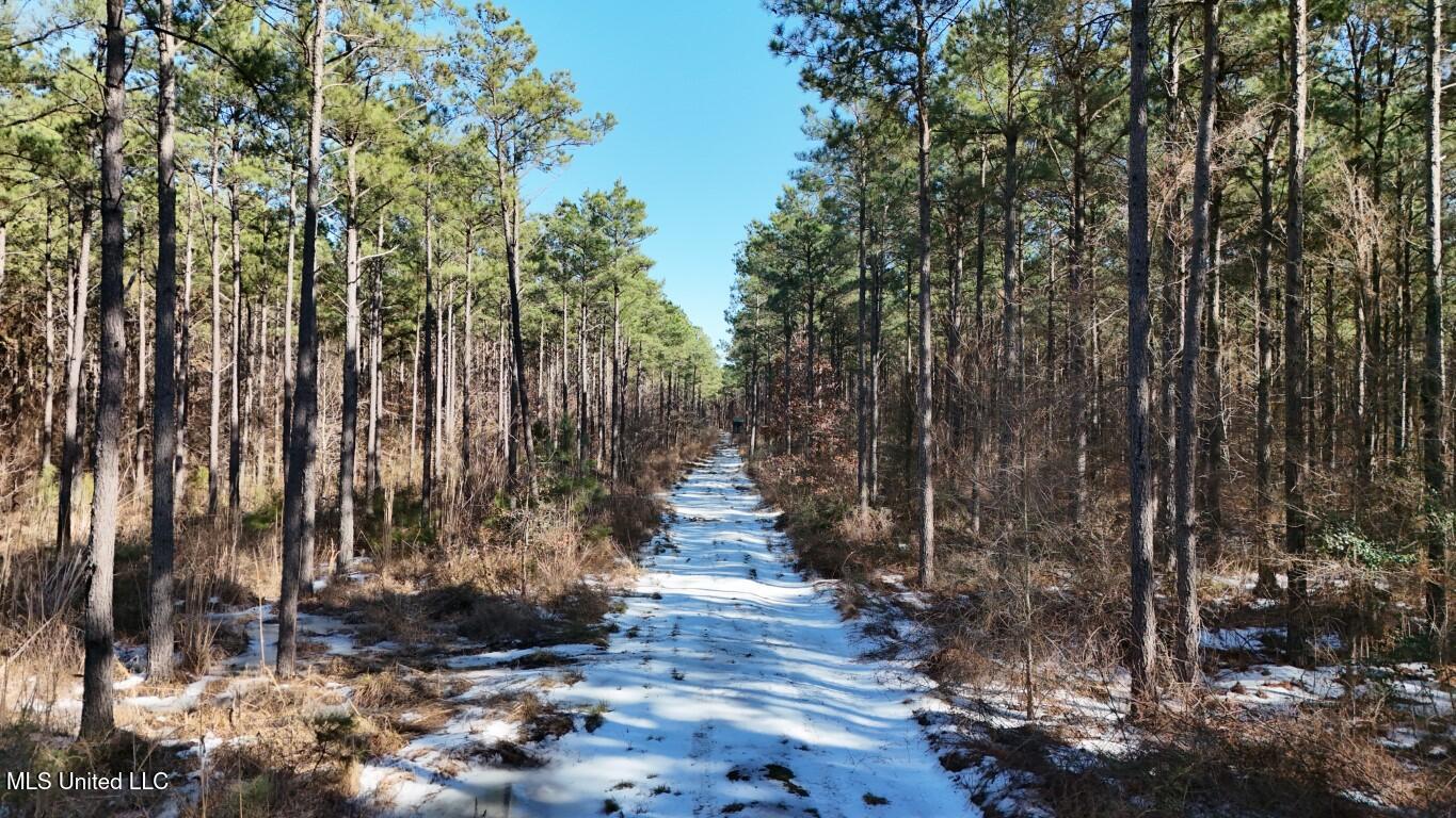 Long Lonesome Road Bastrop, LA 71220 - Photo 16 of 76 DJI_20260202144309_0155_D (Medium)