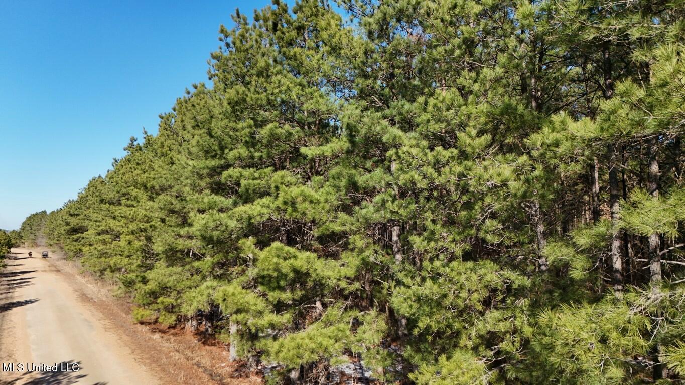 Long Lonesome Road Bastrop, LA 71220 - Photo 17 of 76 DJI_20260202144447_0158_D (Medium)