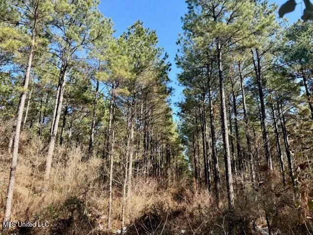 $4,500,000 | Long Lonesome Road, Bastrop, LA 71220