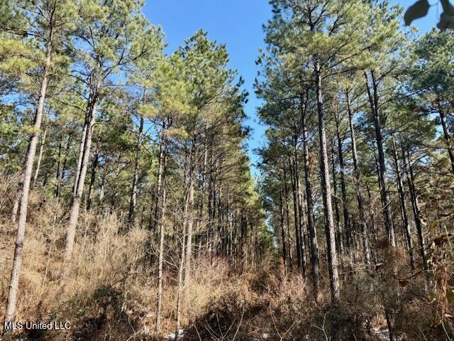Long Lonesome Road Bastrop, LA 71220 - Photo 20 of 76 IMG_7545