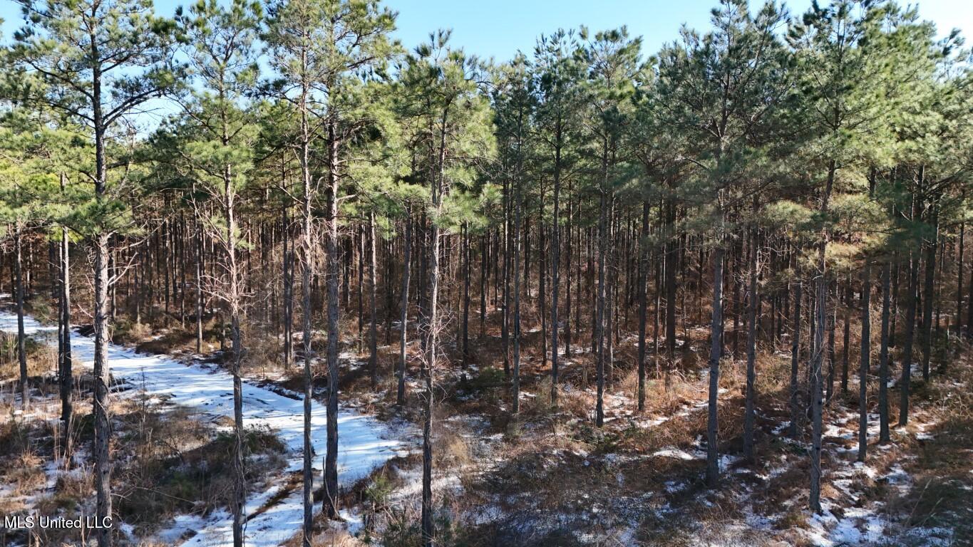 Long Lonesome Road Bastrop, LA 71220 - Photo 2 of 76 DJI_20260202144259_0154_D (Medium)