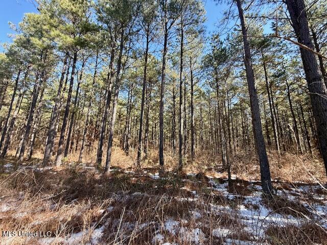 Long Lonesome Road Bastrop, LA 71220 - Photo 24 of 76 IMG_7551