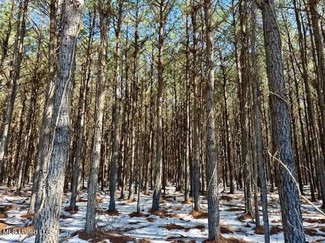 Long Lonesome Road Bastrop, LA 71220 - Photo 27 of 76 IMG_7555