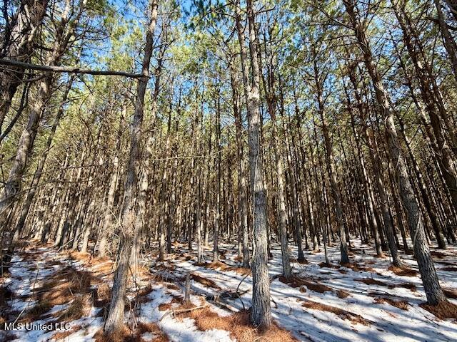 Long Lonesome Road Bastrop, LA 71220 - Photo 28 of 76 IMG_7556