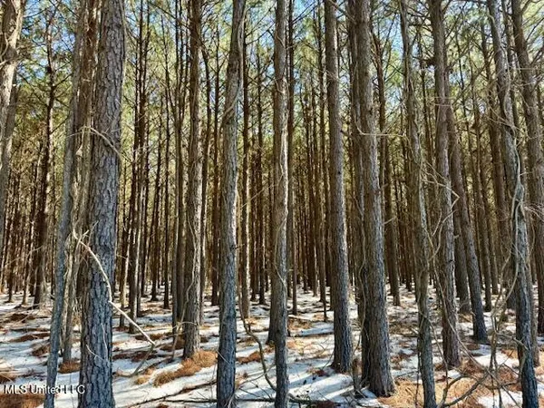 $4,500,000 | Long Lonesome Road, Bastrop, LA 71220