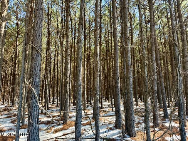Long Lonesome Road Bastrop, LA 71220 - Photo 29 of 76 IMG_7558