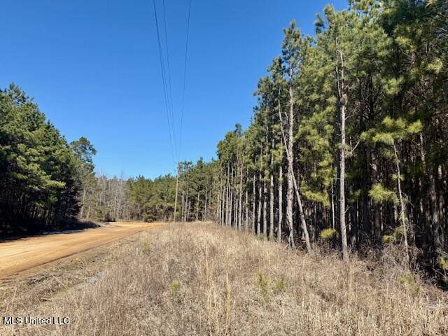Long Lonesome Road Bastrop, LA 71220 - Photo 30 of 76 IMG_7559
