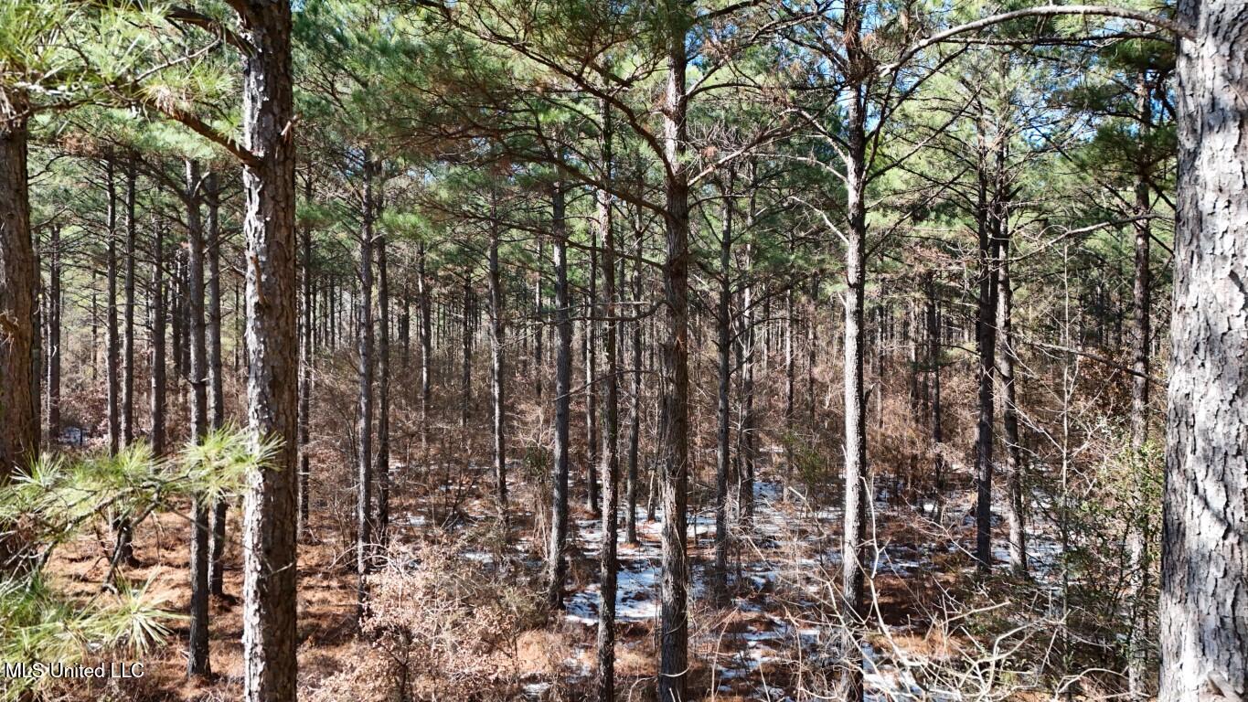 Long Lonesome Road Bastrop, LA 71220 - Photo 3 of 76 DJI_20260202134814_0139_D (Medium)