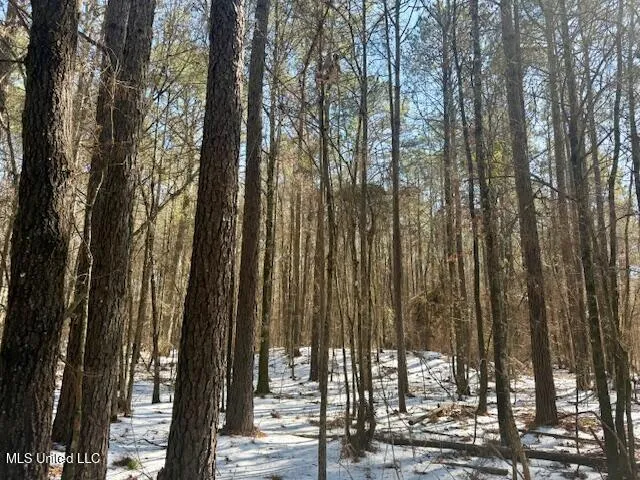 $4,500,000 | Long Lonesome Road, Bastrop, LA 71220