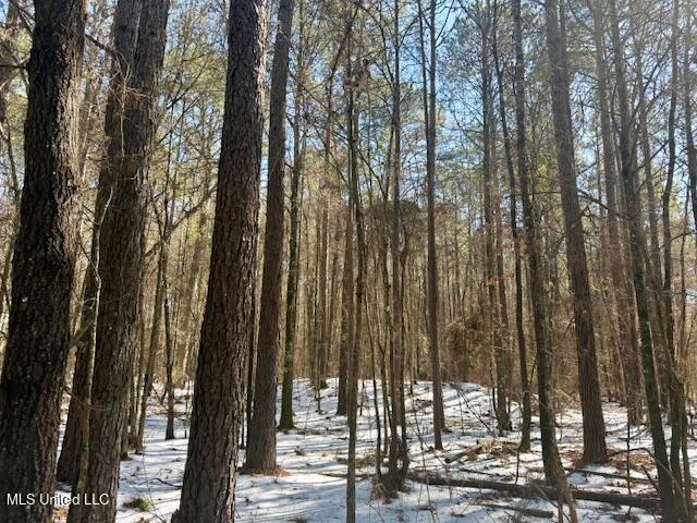 Long Lonesome Road Bastrop, LA 71220 - Photo 31 of 76 IMG_7562