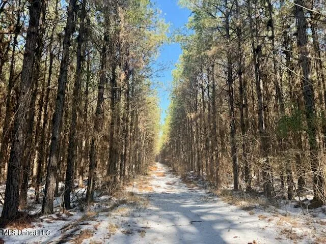 $4,500,000 | Long Lonesome Road, Bastrop, LA 71220