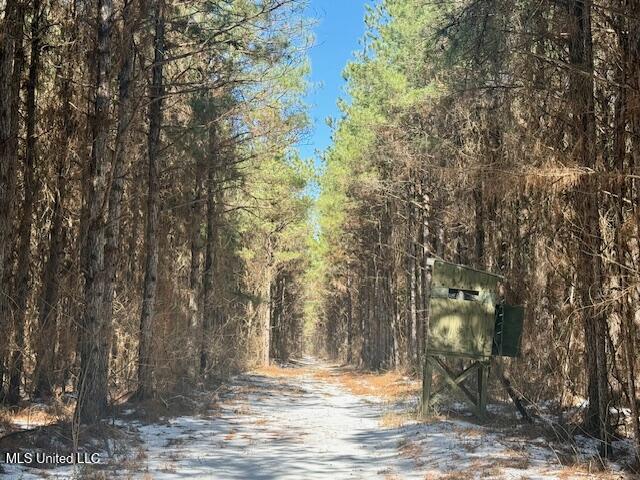 Long Lonesome Road Bastrop, LA 71220 - Photo 33 of 76 IMG_7564