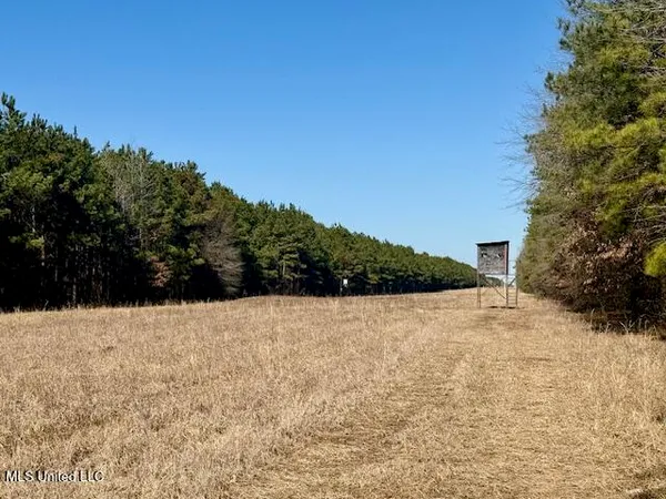 $4,500,000 | Long Lonesome Road, Bastrop, LA 71220