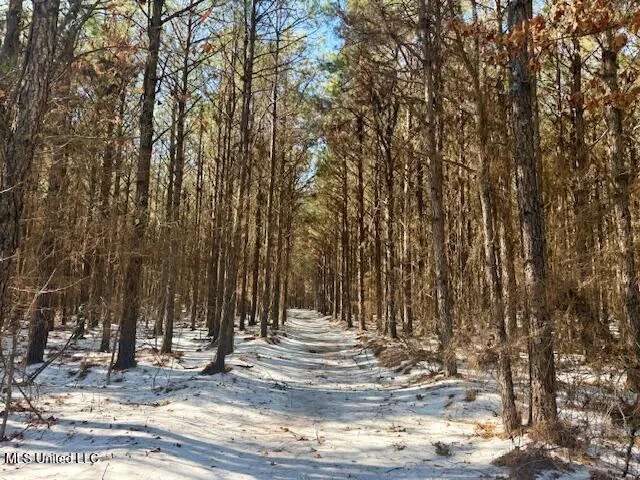 $4,500,000 | Long Lonesome Road, Bastrop, LA 71220