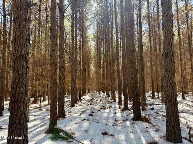 Long Lonesome Road Bastrop, LA 71220 - Photo 39 of 76 IMG_7576