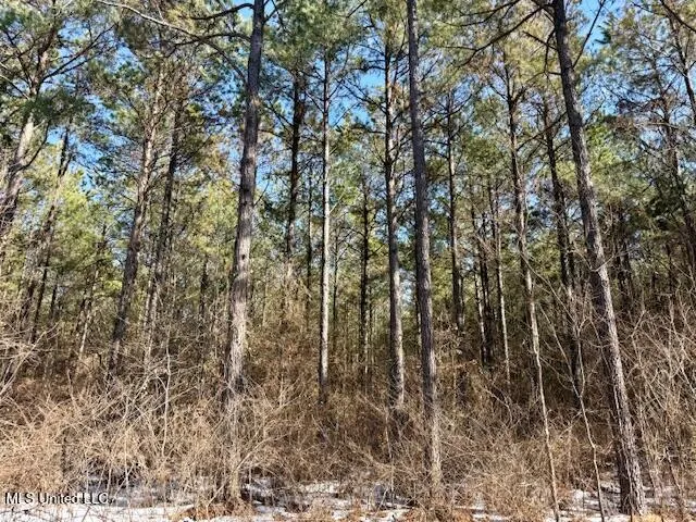 $4,500,000 | Long Lonesome Road, Bastrop, LA 71220