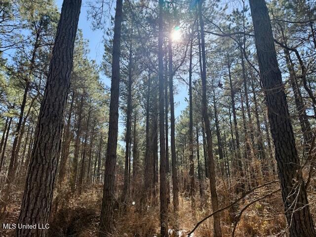 Long Lonesome Road Bastrop, LA 71220 - Photo 41 of 76 IMG_7579
