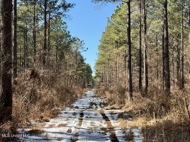 Long Lonesome Road Bastrop, LA 71220 - Photo 42 of 76 IMG_7580