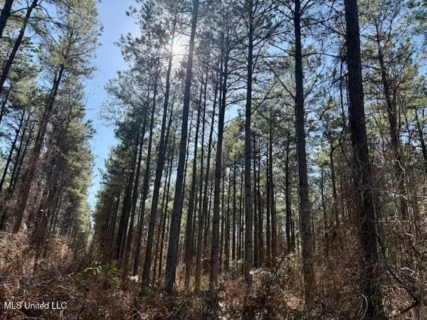 $4,500,000 | Long Lonesome Road, Bastrop, LA 71220