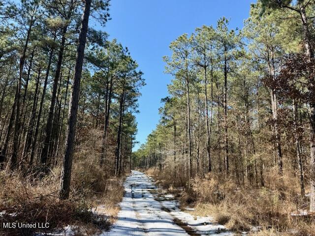 Long Lonesome Road Bastrop, LA 71220 - Photo 44 of 76 IMG_7582