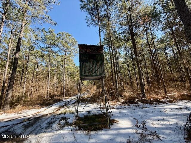 Long Lonesome Road Bastrop, LA 71220 - Photo 45 of 76 IMG_7583