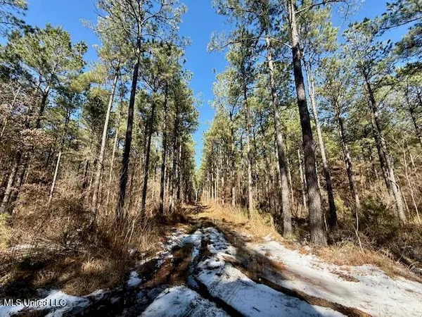 $4,500,000 | Long Lonesome Road, Bastrop, LA 71220