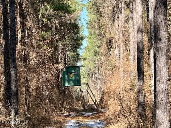 $4,500,000 | Long Lonesome Road, Bastrop, LA 71220