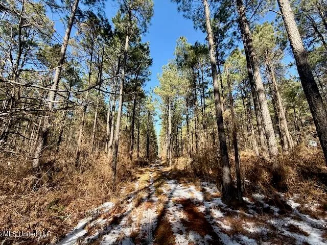 $4,500,000 | Long Lonesome Road, Bastrop, LA 71220