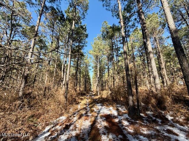 Long Lonesome Road Bastrop, LA 71220 - Photo 48 of 76 IMG_7588