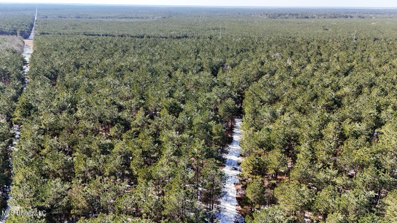 Long Lonesome Road Bastrop, LA 71220 - Photo 5 of 76 DJI_20260202134701_0138_D (Medium)