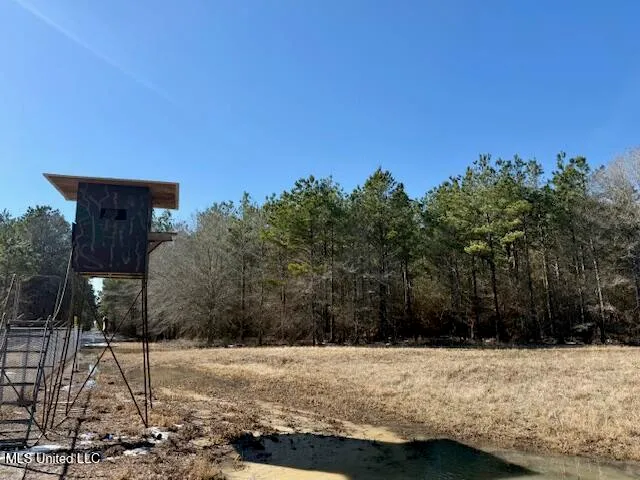 $4,500,000 | Long Lonesome Road, Bastrop, LA 71220