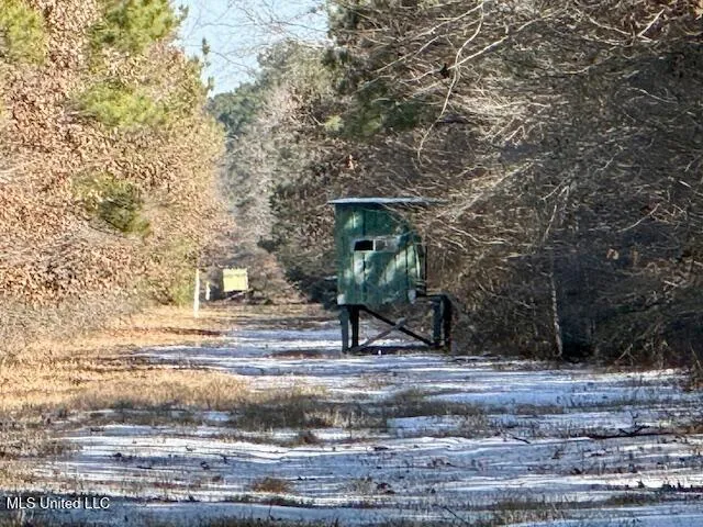 $4,500,000 | Long Lonesome Road, Bastrop, LA 71220