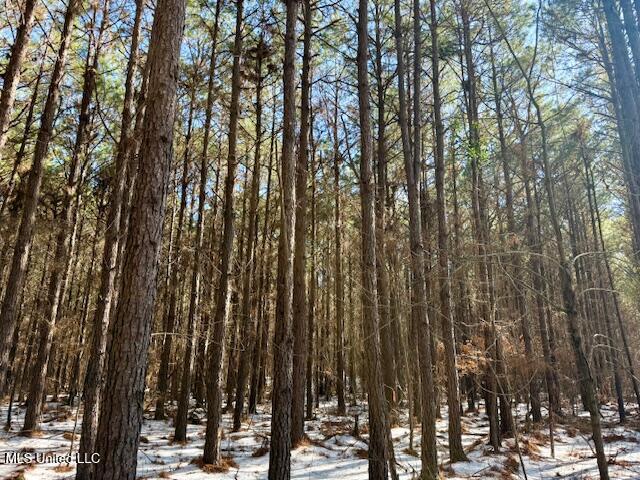 Long Lonesome Road Bastrop, LA 71220 - Photo 53 of 76 IMG_7604
