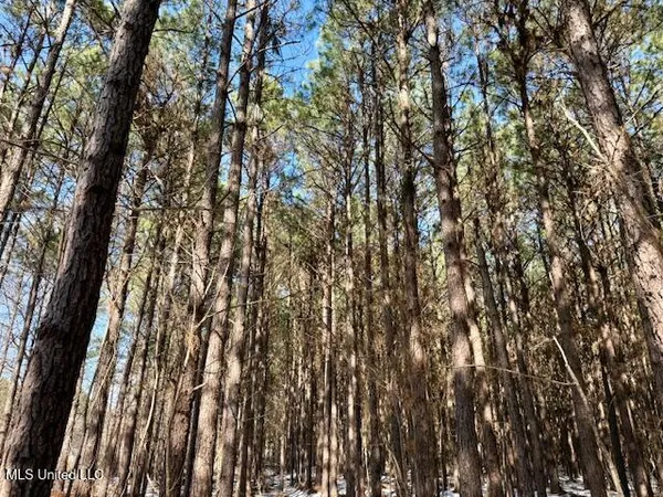 $4,500,000 | Long Lonesome Road, Bastrop, LA 71220