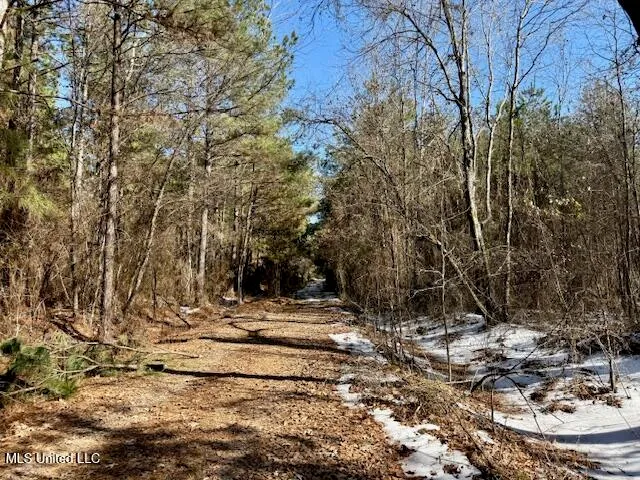 $4,500,000 | Long Lonesome Road, Bastrop, LA 71220