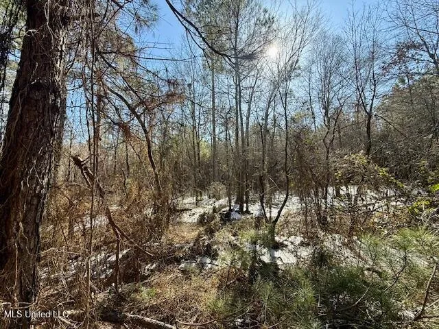 $4,500,000 | Long Lonesome Road, Bastrop, LA 71220