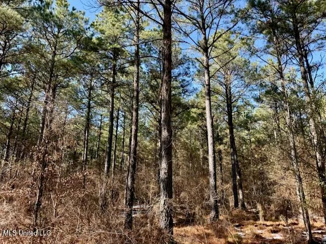 $4,500,000 | Long Lonesome Road, Bastrop, LA 71220